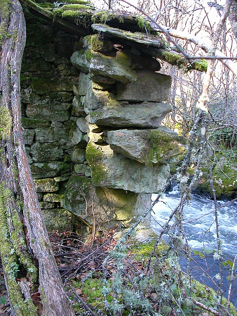 DSCN1519 DSCN1519