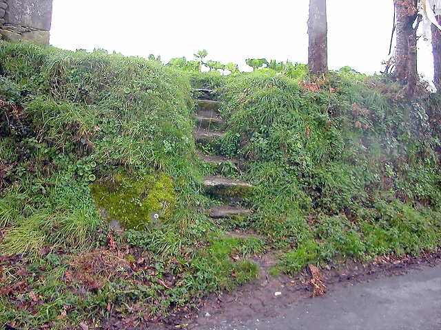 DSCN7332 DSCN7332