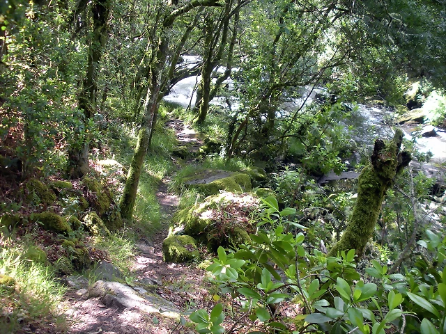 DSCN2775 DSCN2775