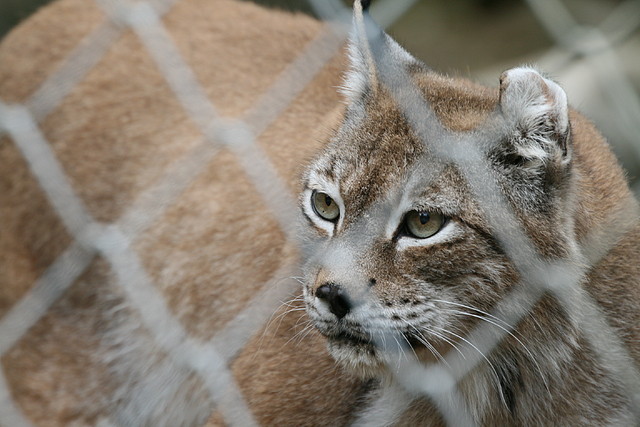 Zoo Lunaret + Sigean 18 i 19-09-10 356 Zoo Lunaret + Sigean 18 i 19-09-10 356