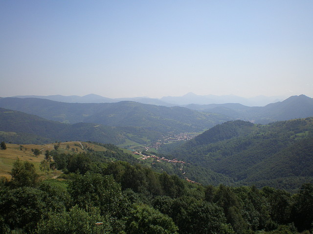 P8110010 P8110010