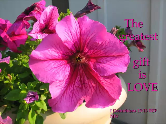 the_greatest_gift_is_love