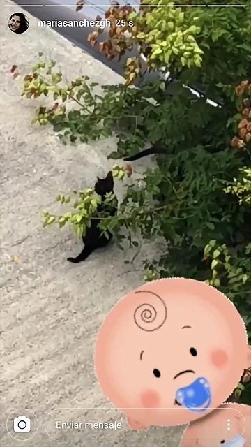 Video Mar?a IG Stories 13-8-2018 (3) Video Mar?a IG Stories 13-8-2018 (3)