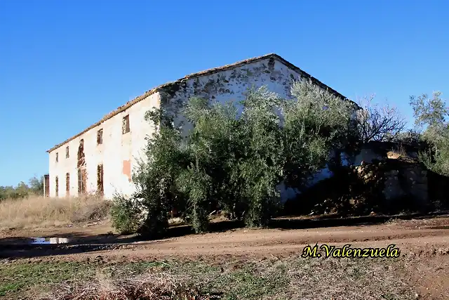 11, la mojonera 2, marca