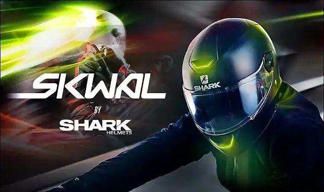 shark-skwal