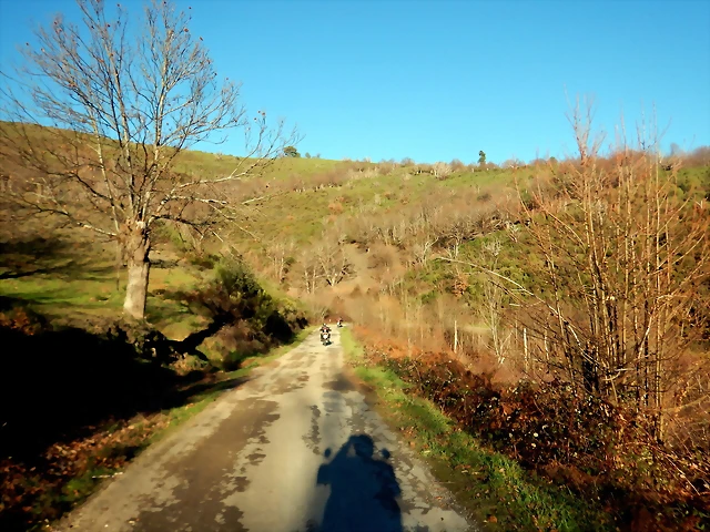 DSCN1733 DSCN1733