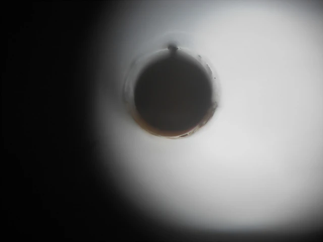 025 025
