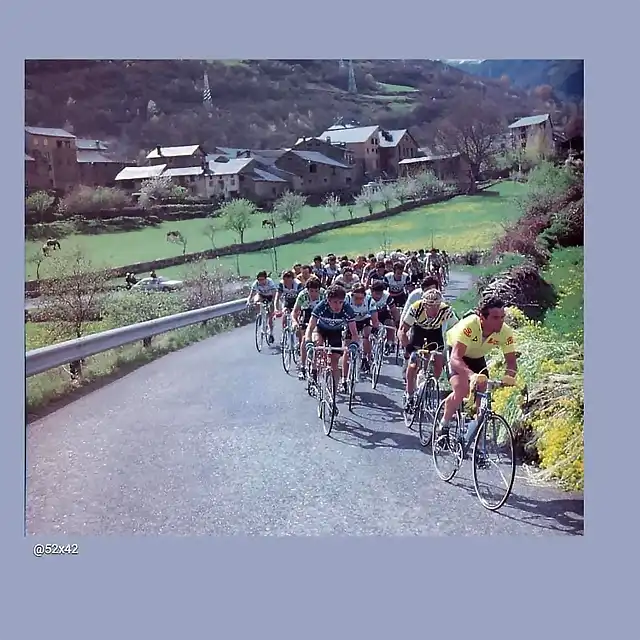 Perico-Vuelta1983-Hinault-Fignon