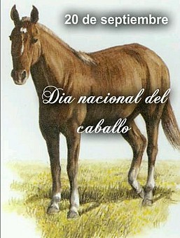 caballlo