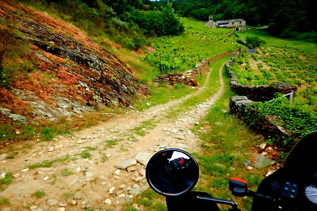 DSCN5242 DSCN5242