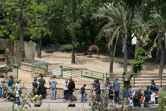 Zoo de Barcelona 23-04-11 127 Zoo de Barcelona 23-04-11 127