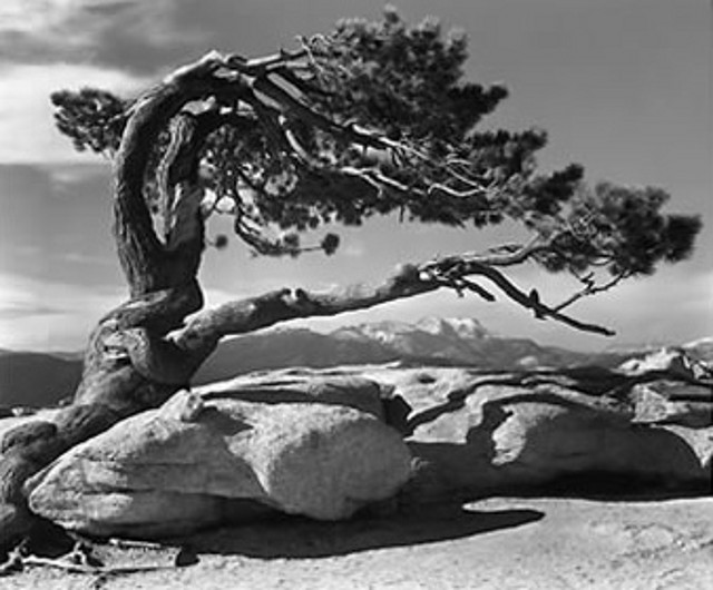 ansel-adams-yosemite