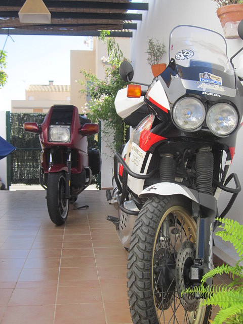 IMG_0009 IMG_0009