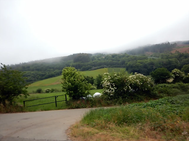 DSCN5422 DSCN5422