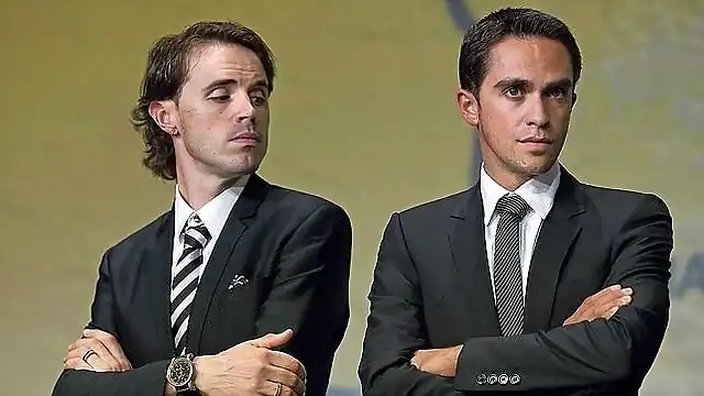 contador asesor