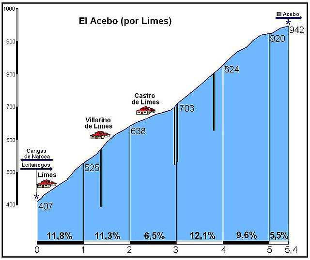 acebo-por-limes_7f23f962