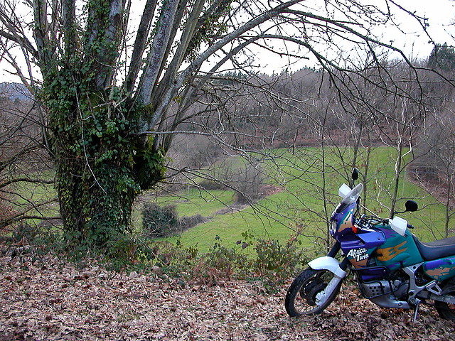 DSCN1204 DSCN1204