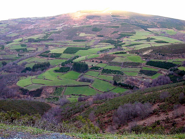 DSCN1218 DSCN1218