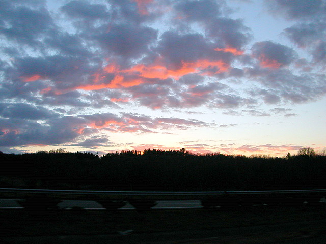 DSCN1238 DSCN1238