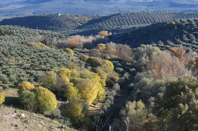 15, el ro que baja desde el puente