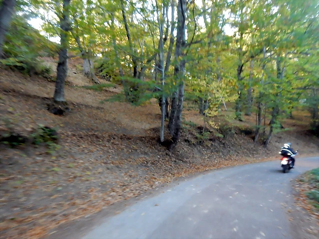 DSCN8111 DSCN8111