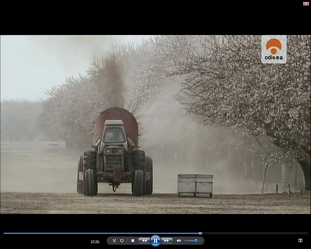 documentas abejas en crisis