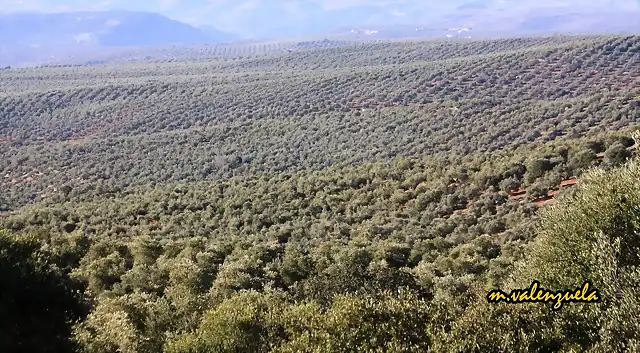 01, desde la atalayuela, marca