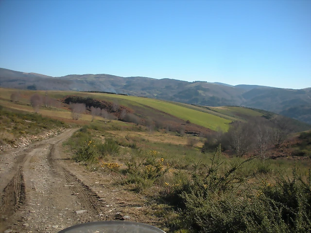 DSCN2274 DSCN2274