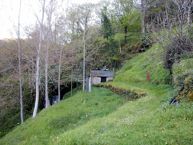 DSCN9133