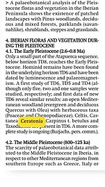 ceratonia pleistoceno atapuerca