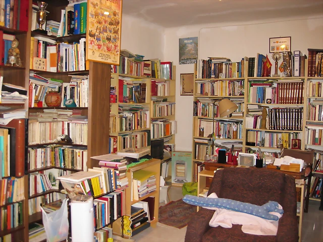 Parte frontal de mi biblioteca Parte frontal de mi biblioteca