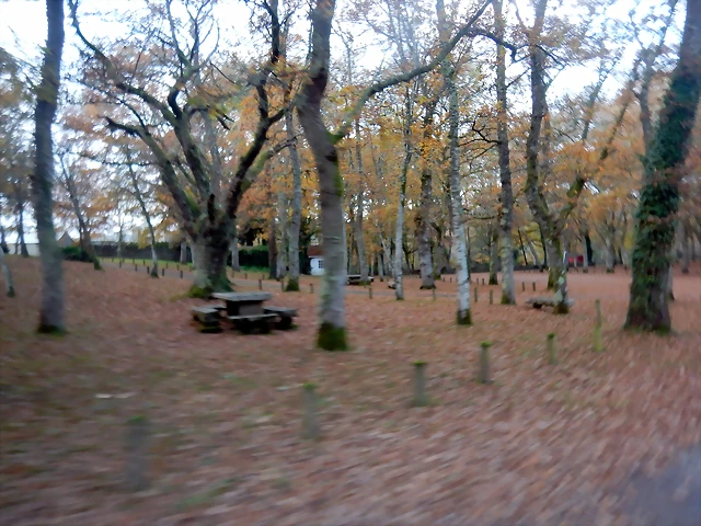 DSCN0745 DSCN0745