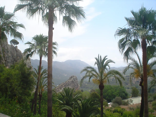 DSC00039 DSC00039
