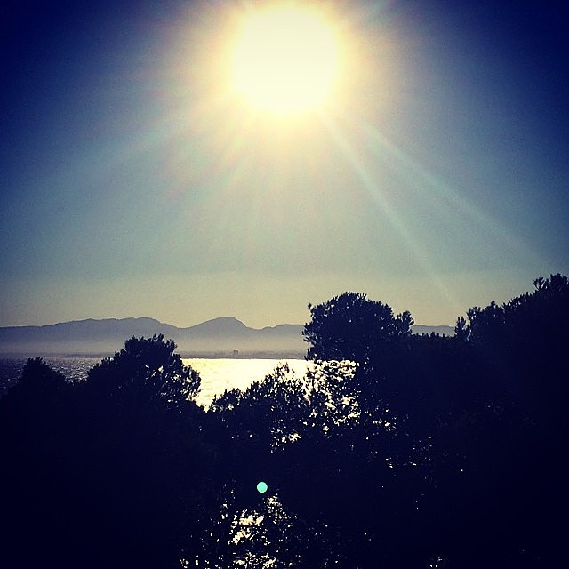 Hugo instagram 11-7-2014 Hugo instagram 11-7-2014