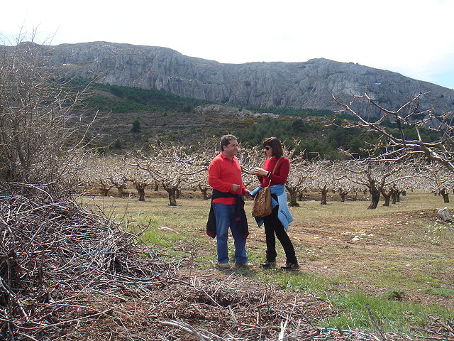 Rosa y Mariano, campo de cerezos