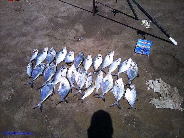 pesca fin de a?04