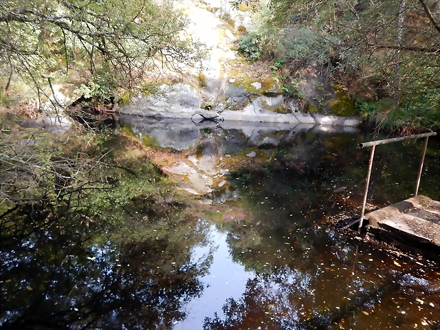 DSCN8440 DSCN8440