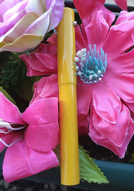 pluma antiguas 2 pluma antiguas 2