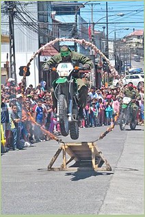 tortuga ninja carabineros