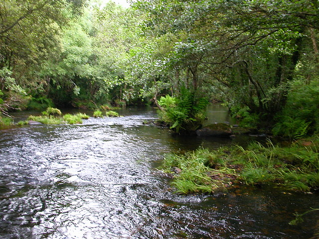 DSCN1633 DSCN1633