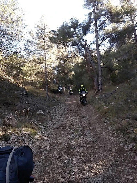 50