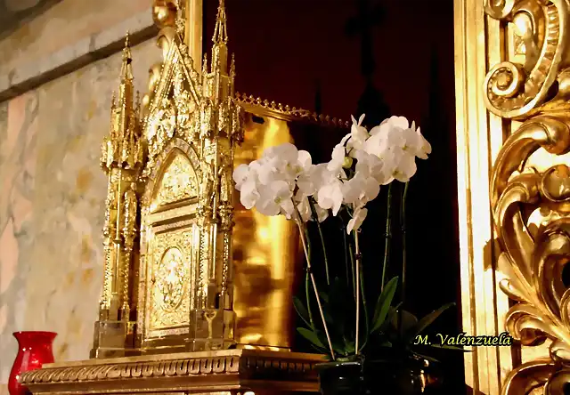 06, orqudeas en el sagrario, marca