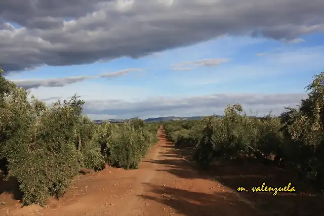 04, vllora baja, marca