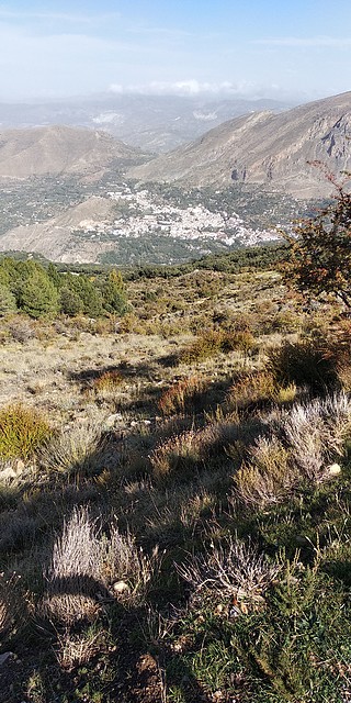 IMG-20181021-WA0014 IMG-20181021-WA0014