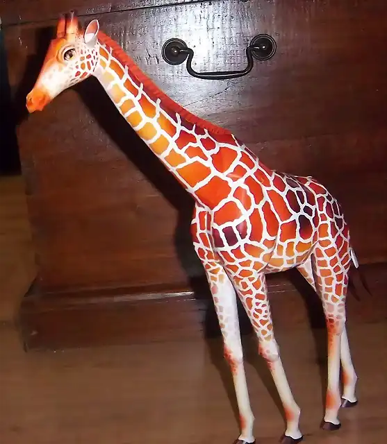 Girafa (21)