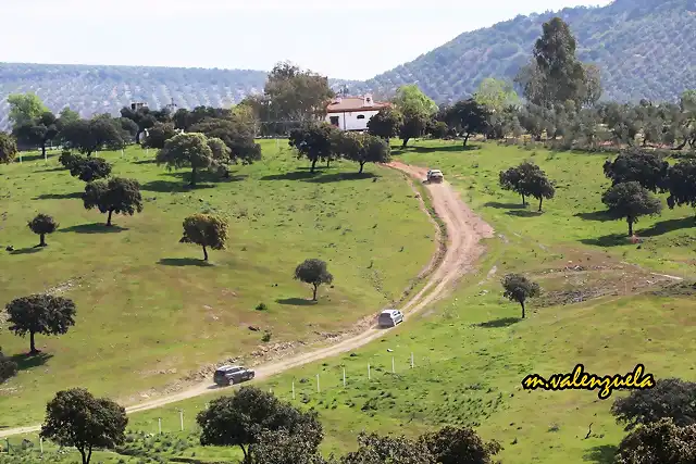 21, loma del pino, marca