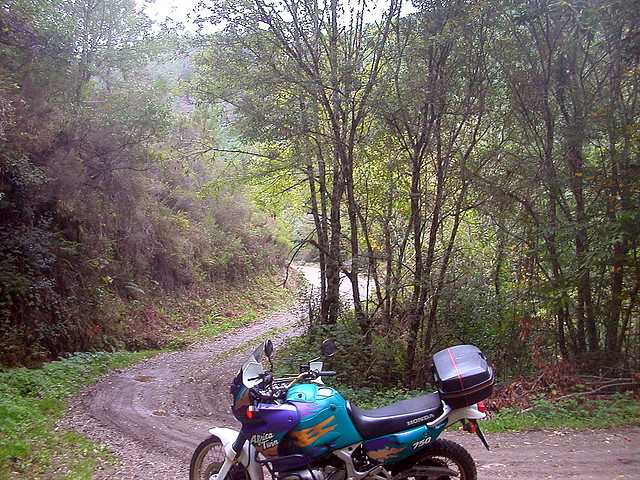 Pia Paxaro 061 Pia Paxaro 061