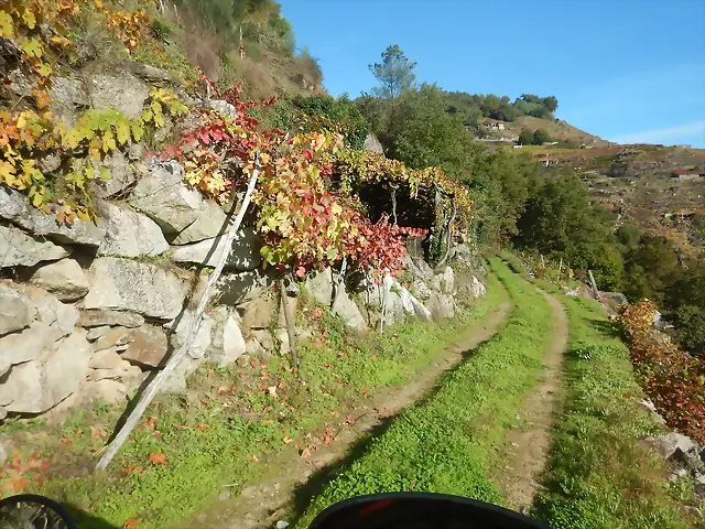 DSCN4480