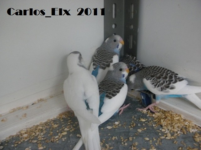 todos 10-3-11 todos 10-3-11
