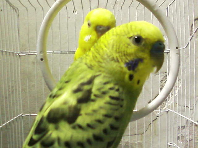 Foto-0444 Foto-0444